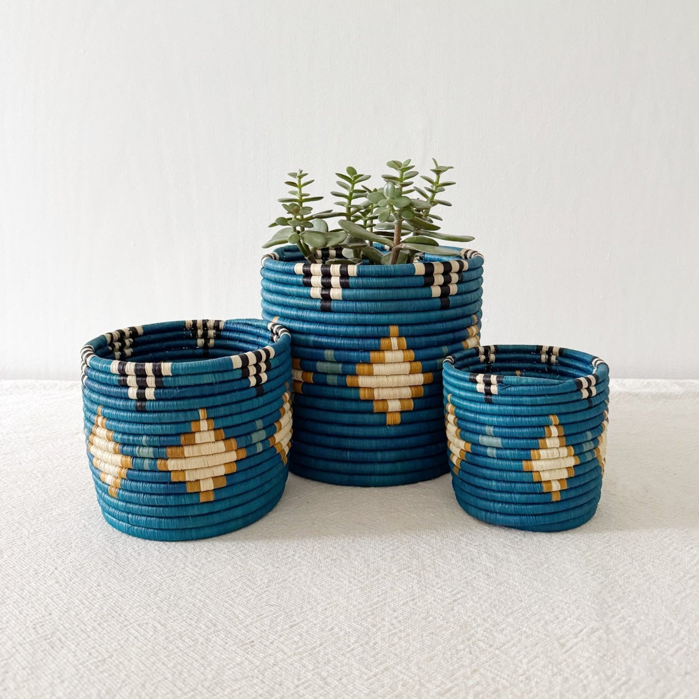 Shungo Planter Baskets