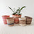 Storage Basket Assortment 526