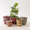 Storage Basket Assortment 629 - Amsha