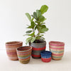 Storage Basket Assortment 631 - Amsha