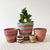 Storage Basket Assortment 727