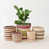 Storage Basket Assortment 822 - Amsha