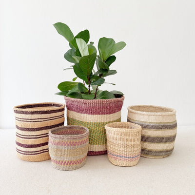 Storage Basket Assortment 822 - Amsha