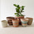 Storage Basket Assortment 831