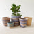 Storage Basket Assortment 832