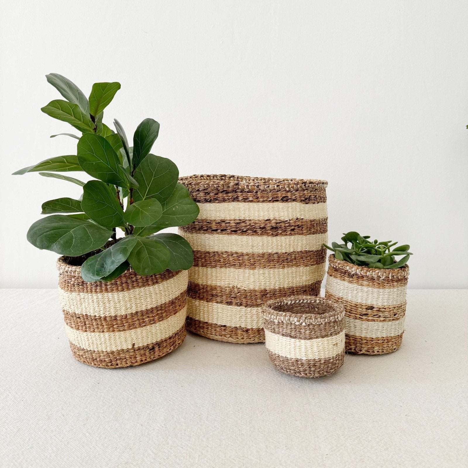 plant woven basket Storage Plant Basket: Banana Stripe
