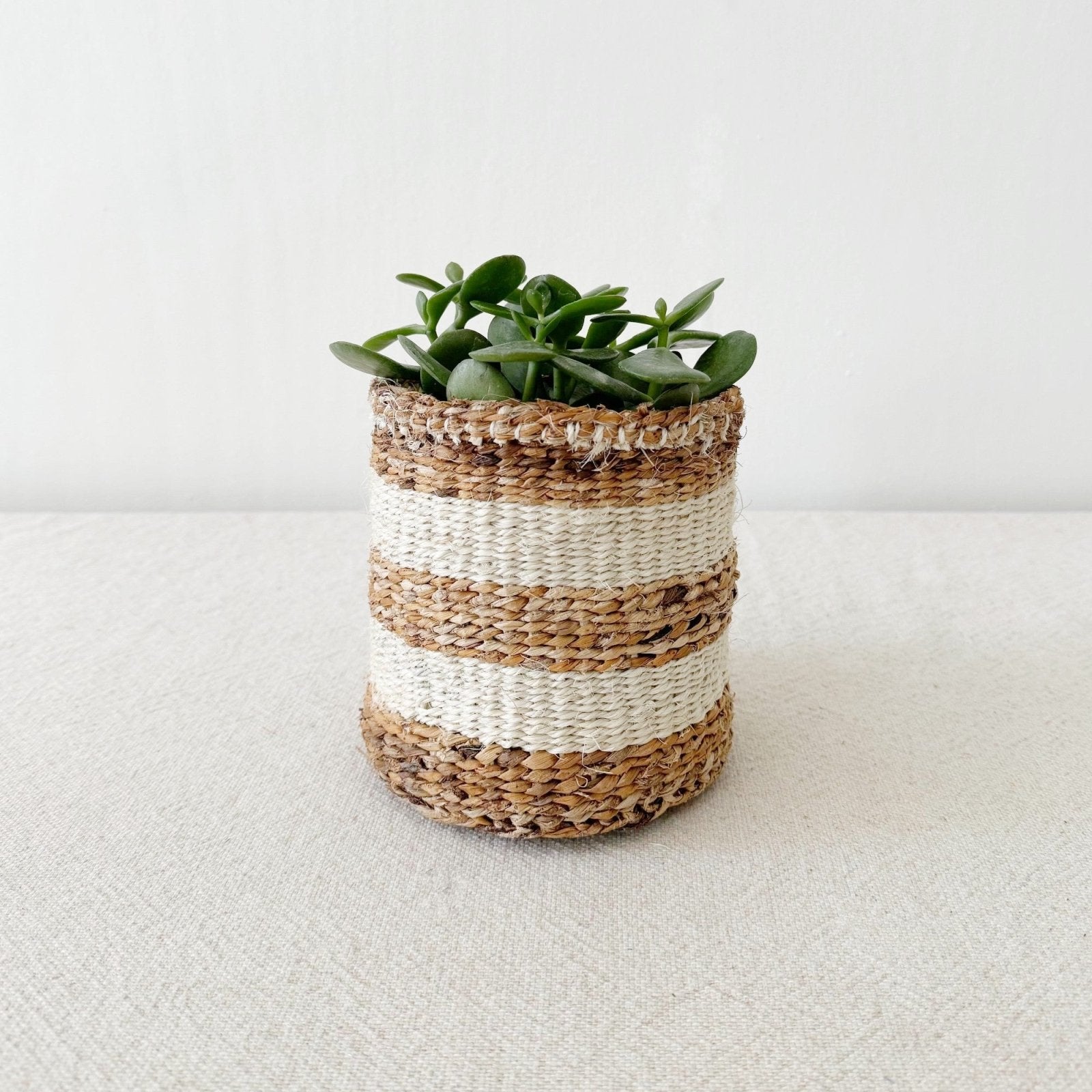 Storage Plant Basket: Banana Stripe - Amsha