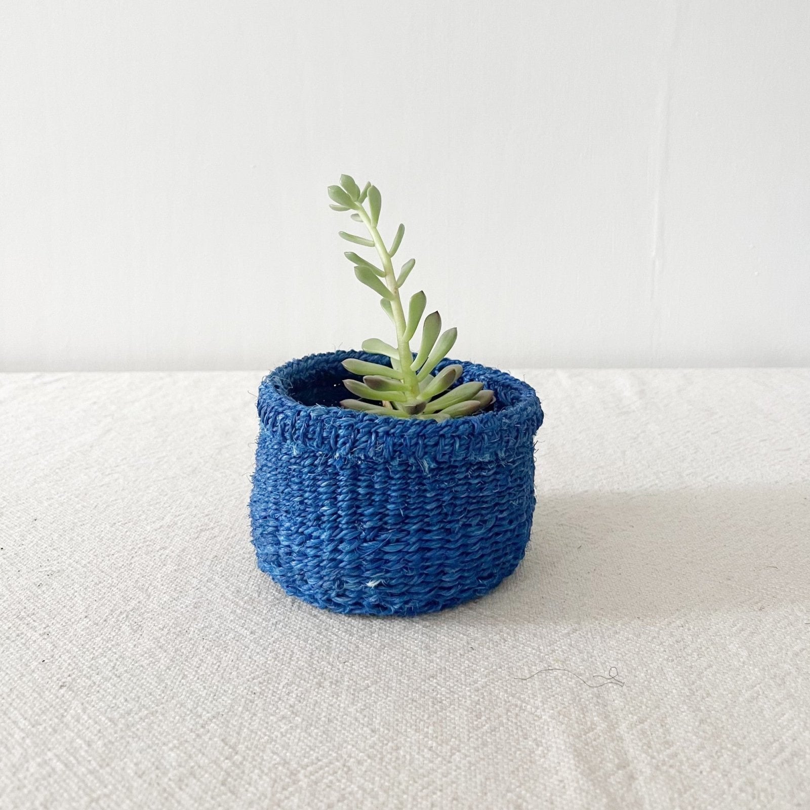 Storage Plant Basket: Blueberry - Amsha