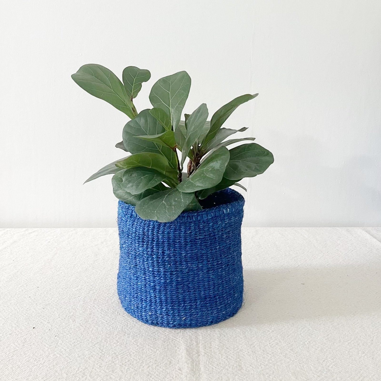 Storage Plant Basket: Blueberry - Amsha