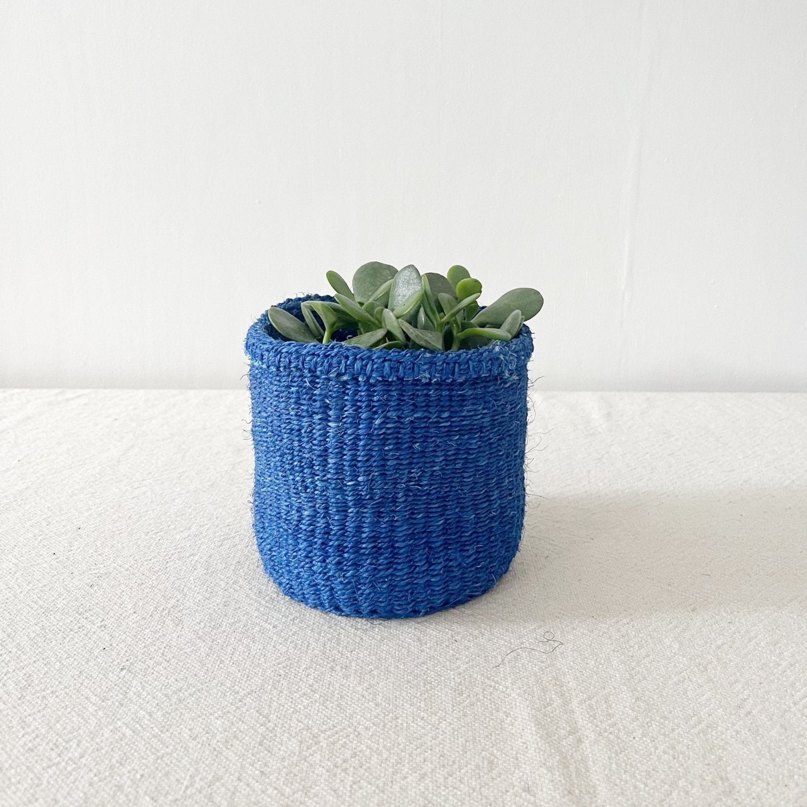 Storage Plant Basket: Blueberry - Amsha