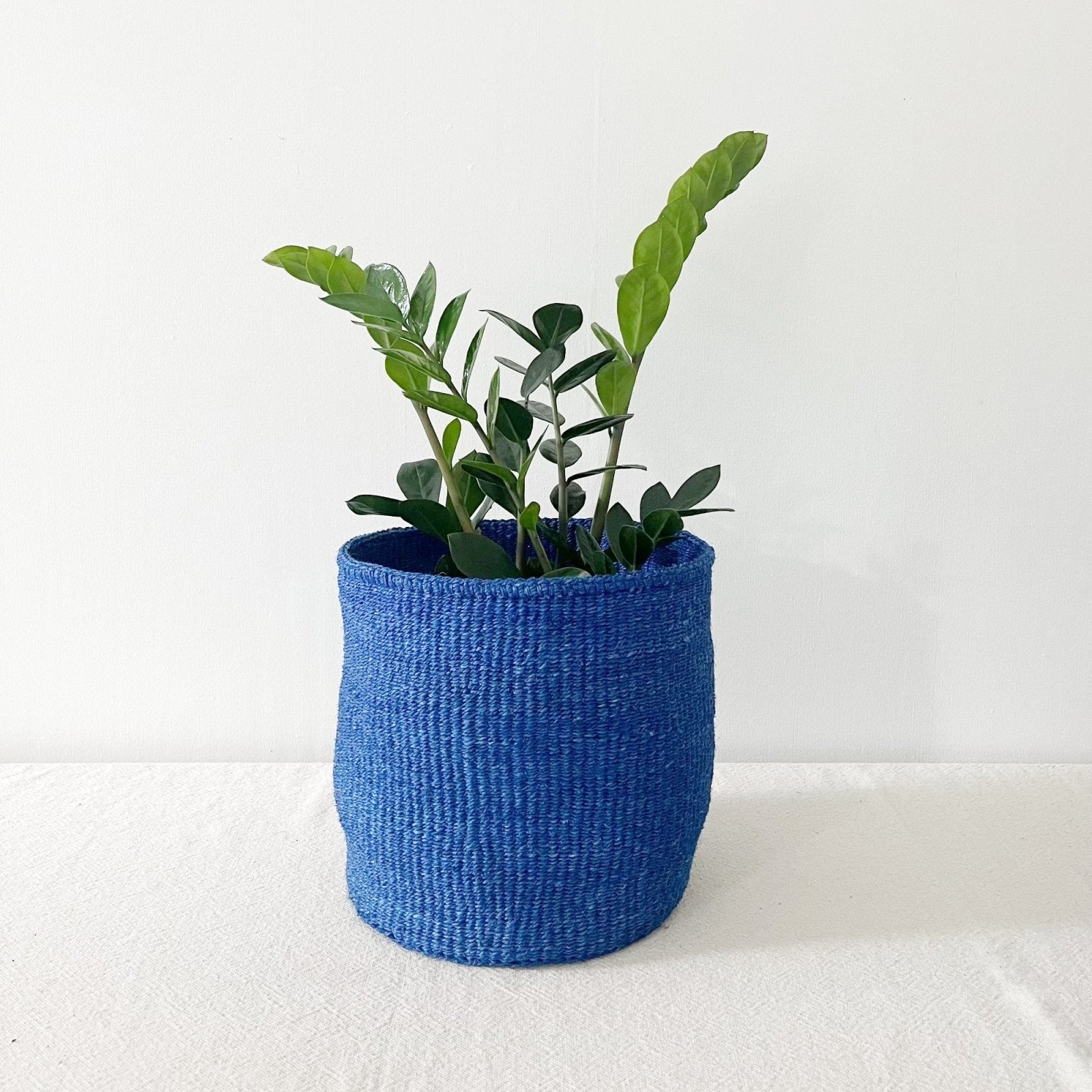 Storage Plant Basket: Blueberry - Amsha