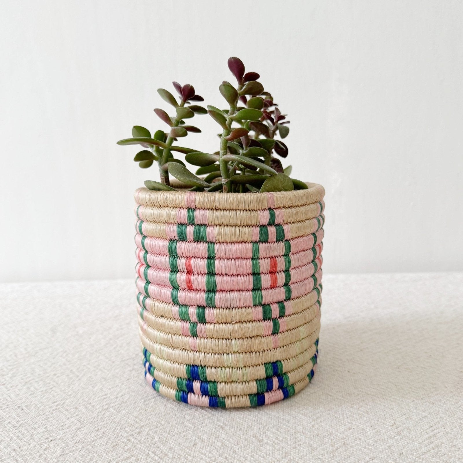 Storage Plant Basket: Bobala - Amsha