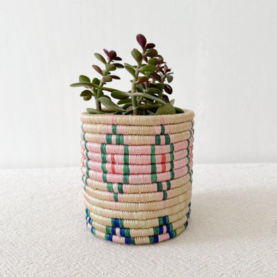 Storage Plant Basket: Bobala - Amsha