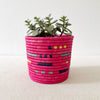 Storage Plant Basket: Buhiga - Amsha