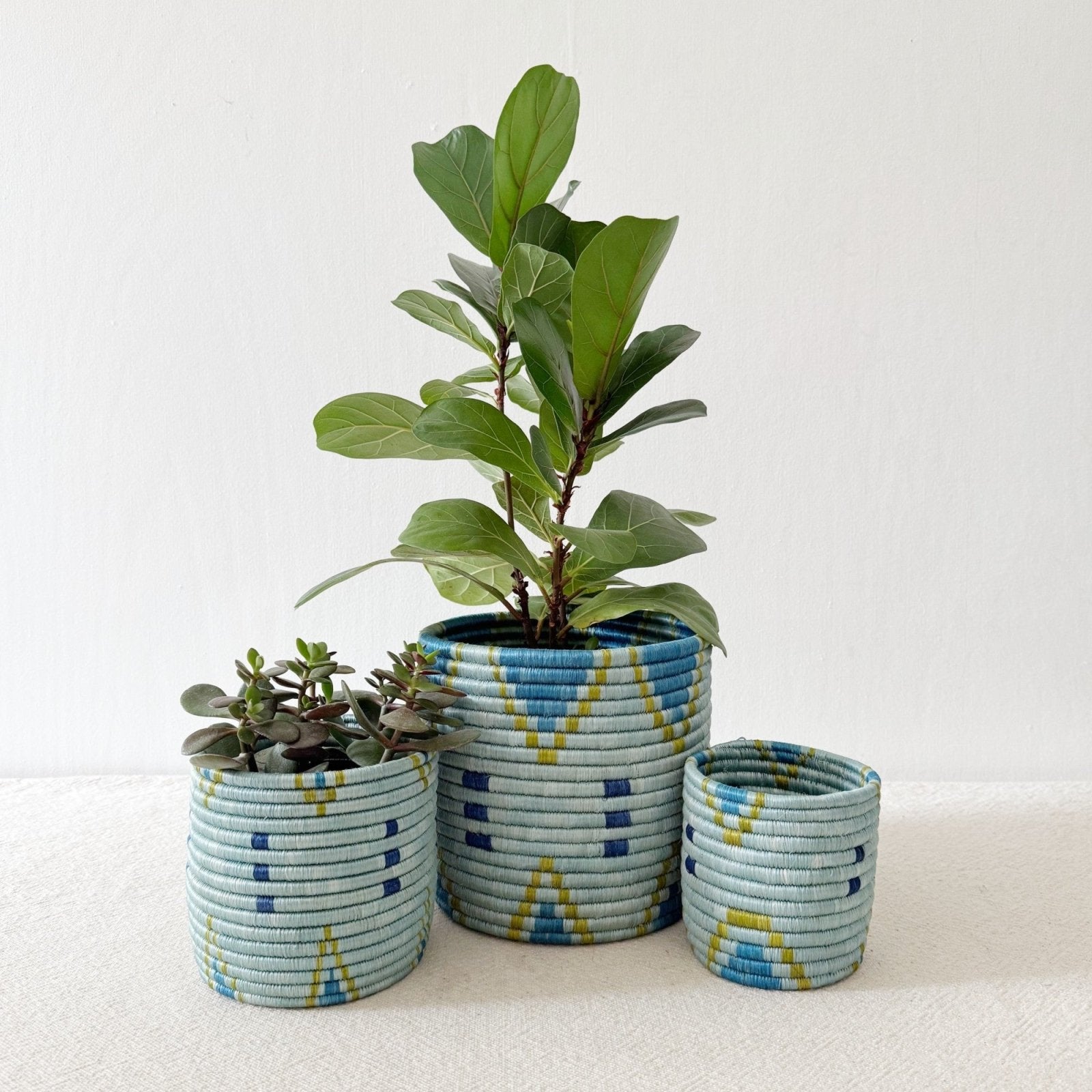 Storage Plant Basket: Bunda - Amsha