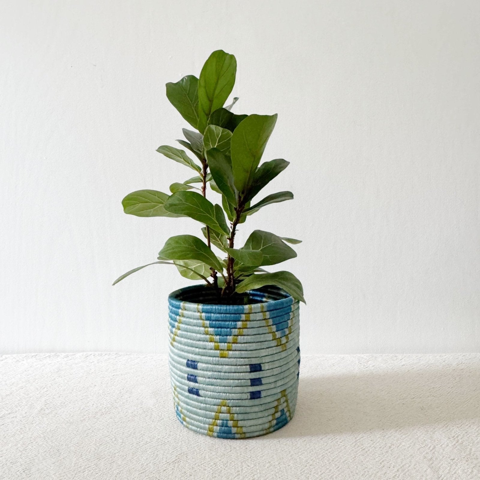 Storage Plant Basket: Bunda - Amsha