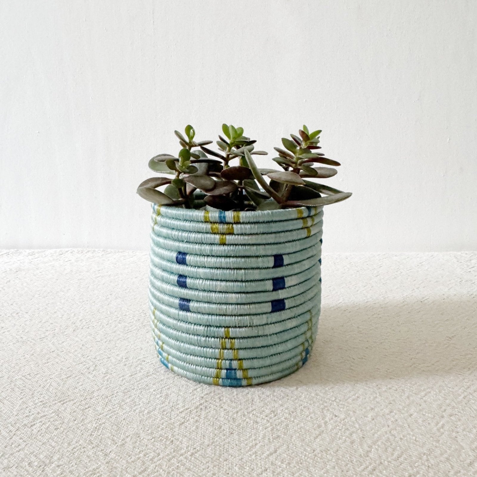 Storage Plant Basket: Bunda - Amsha