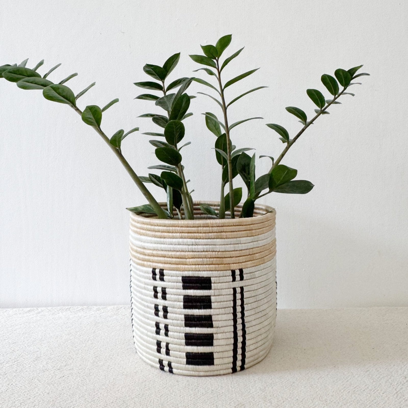 Storage Plant Basket: Busengo - Amsha