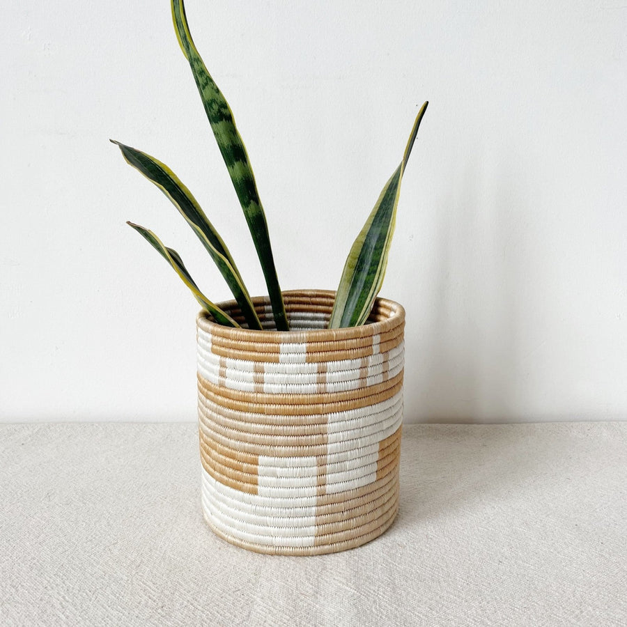 Storage Plant Basket: Bushoki