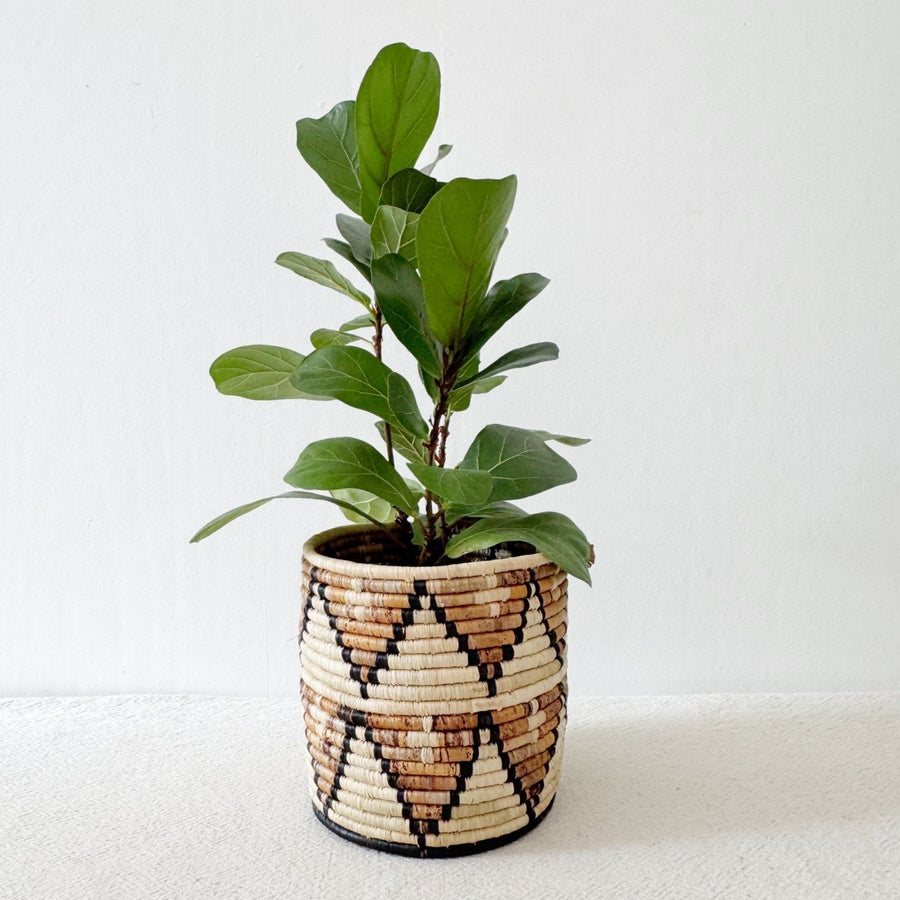 Storage Plant Basket: Busisi - Amsha