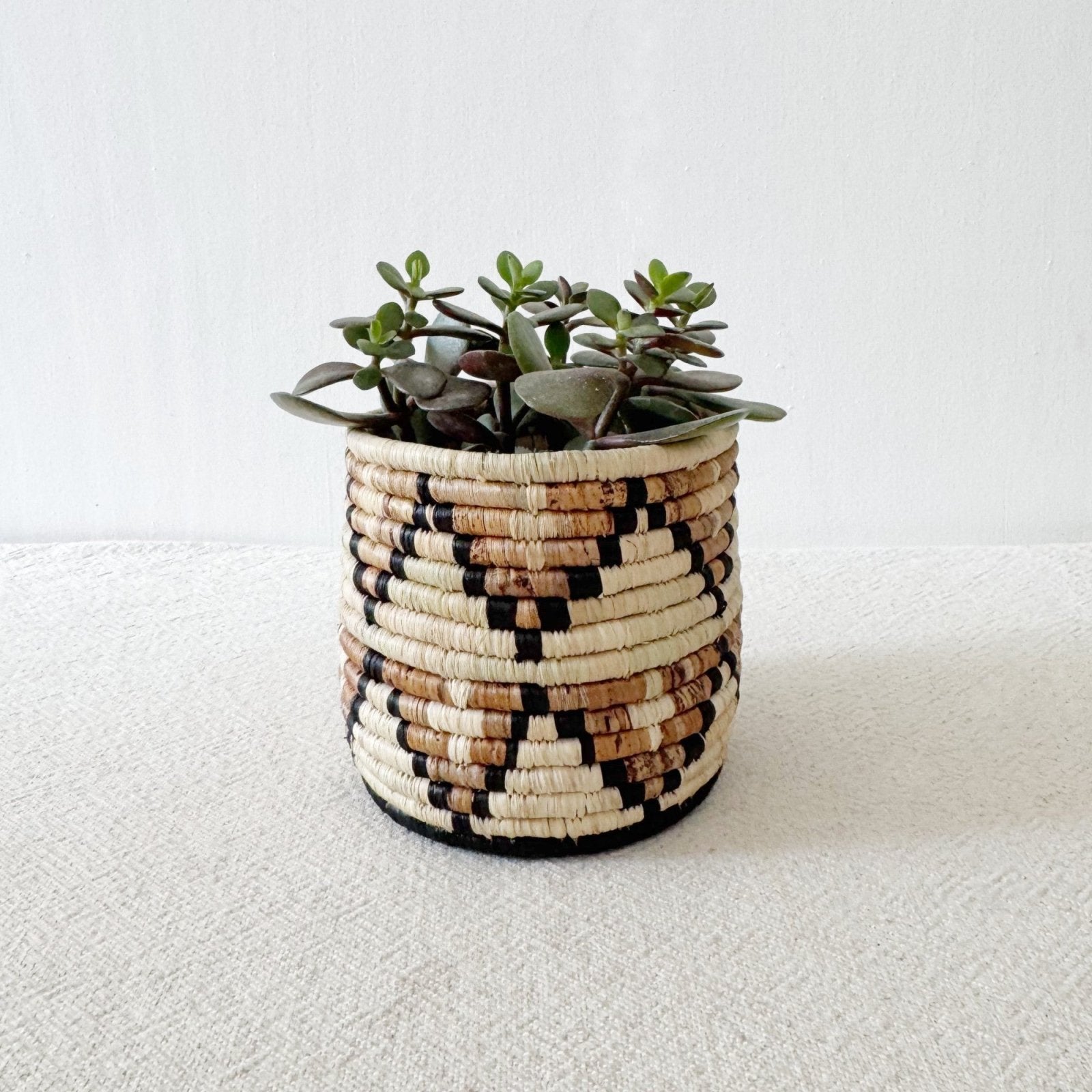 Storage Plant Basket: Busisi - Amsha