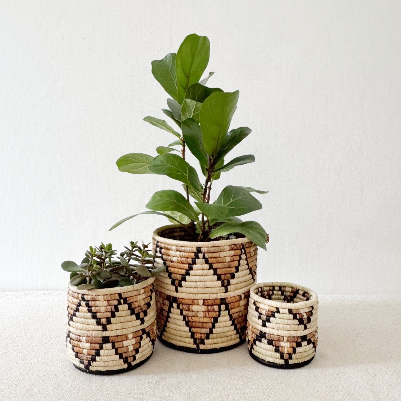 Storage Plant Basket: Busisi - Amsha