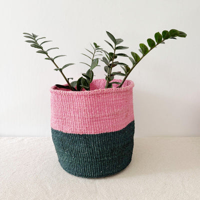 Storage Plant Basket: Catskill - Amsha