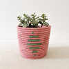 Storage Plant Basket: Cibitoke - Amsha