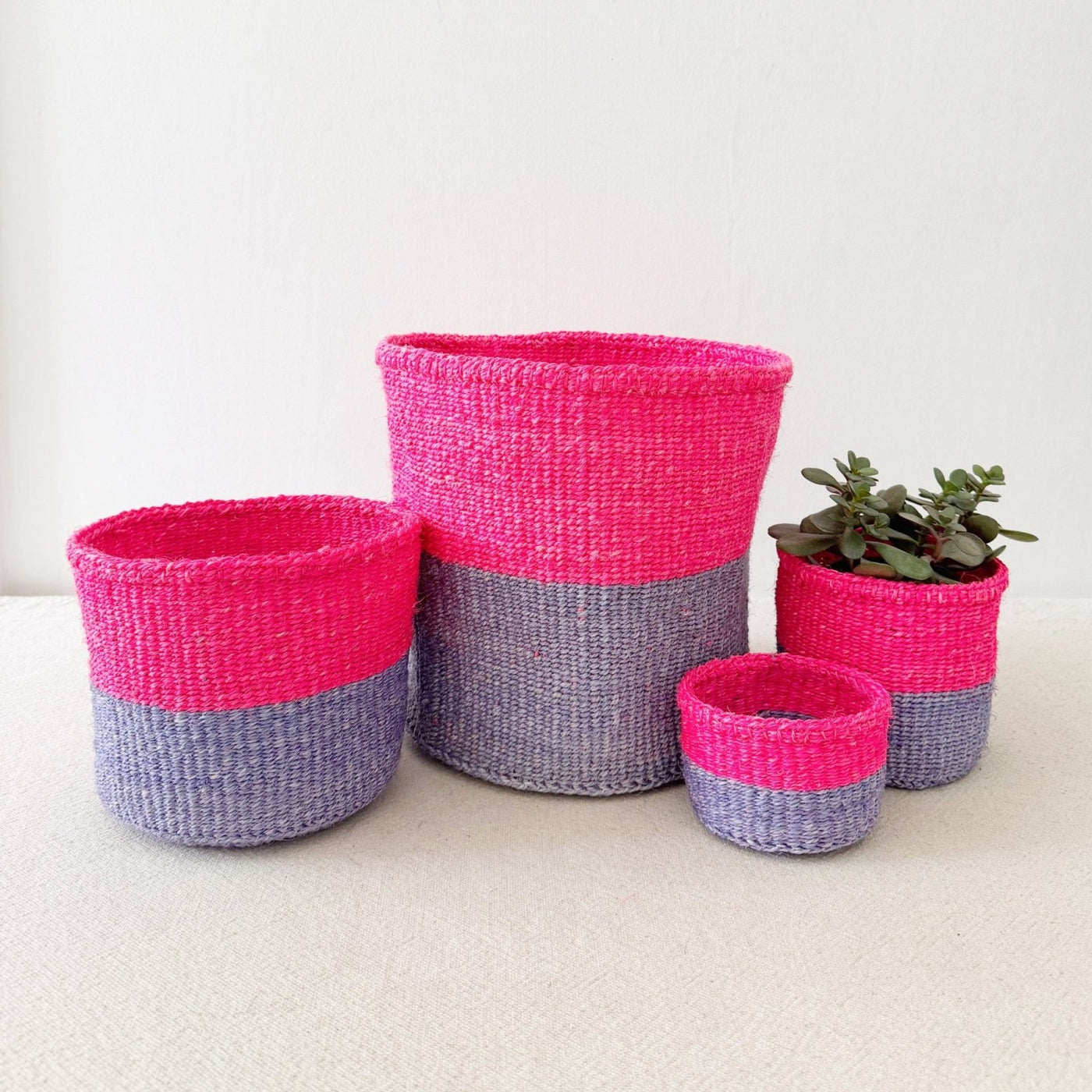 Storage Plant Basket: Cosmos