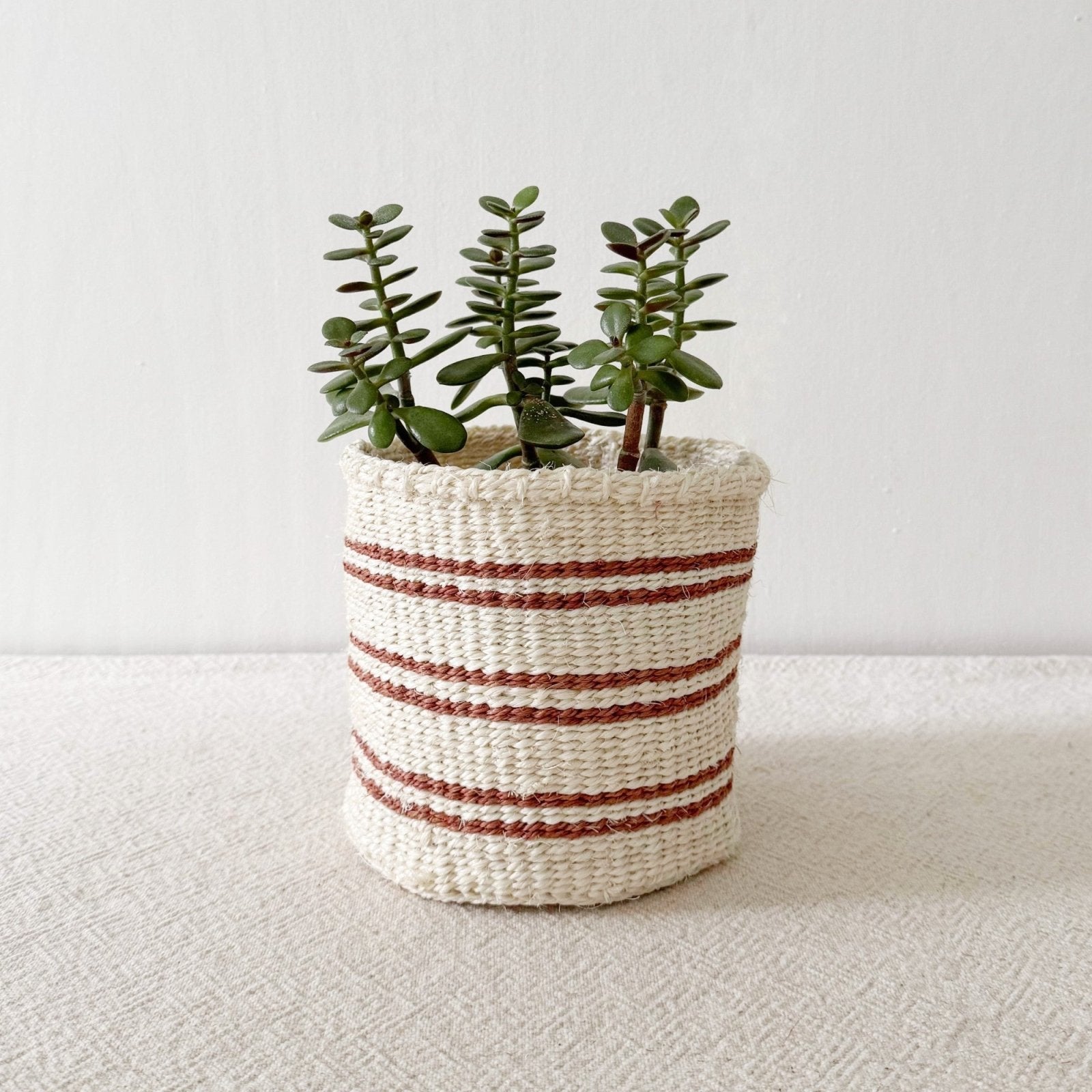Storage Plant Basket: Earth Stripe - Amsha