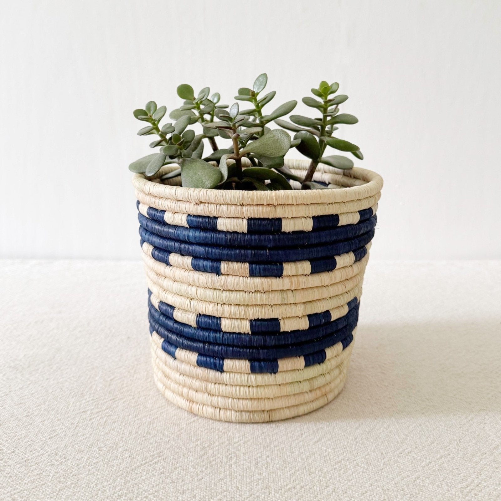 Storage Plant Basket: Gihanga - Amsha