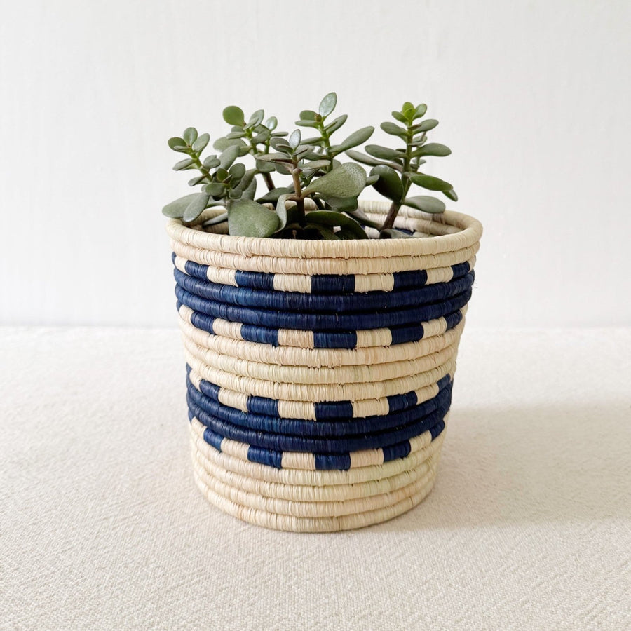 Storage Plant Basket: Gihanga - Amsha