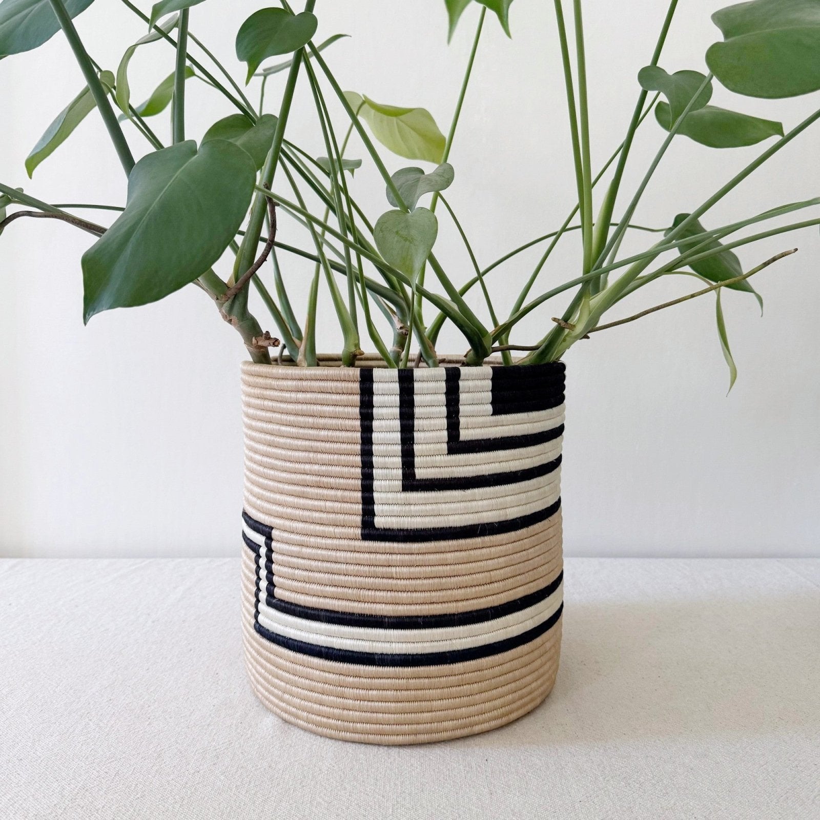 Storage Plant Basket: Gitenga - Amsha