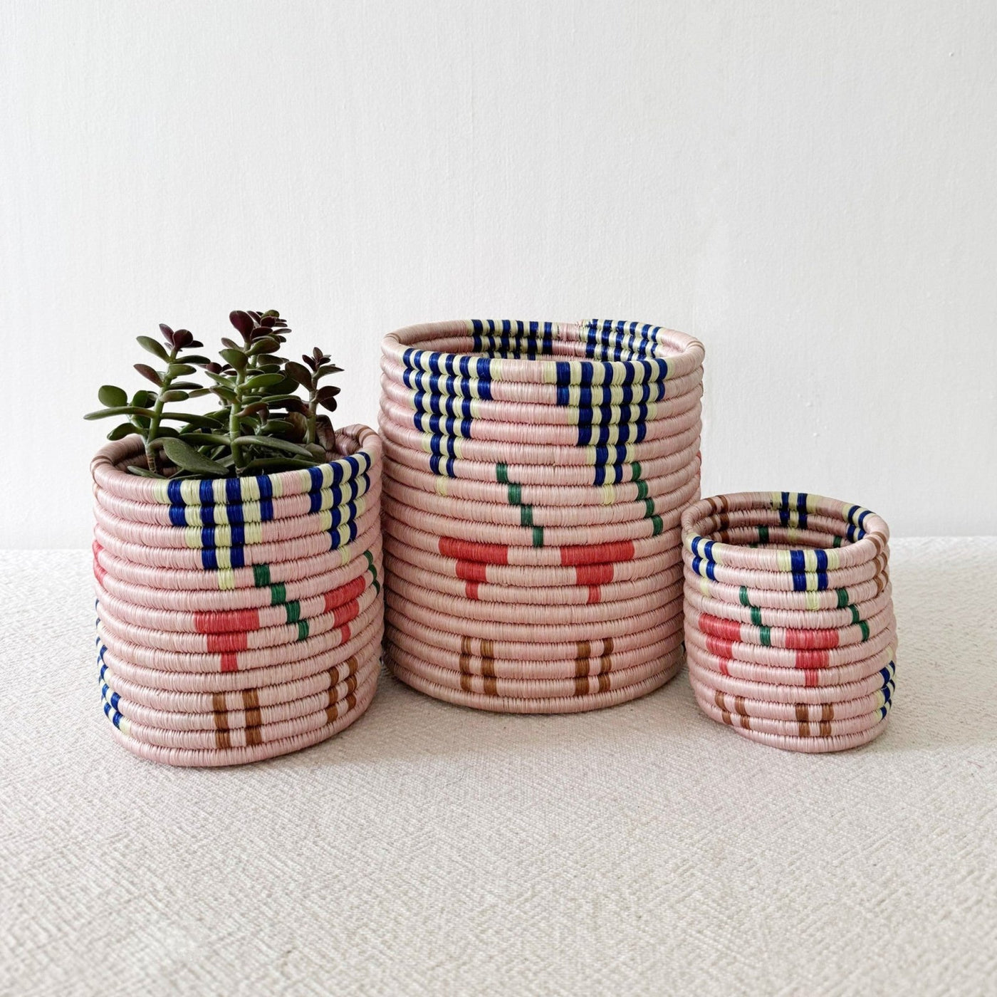 Storage Plant Basket: Ipekwa