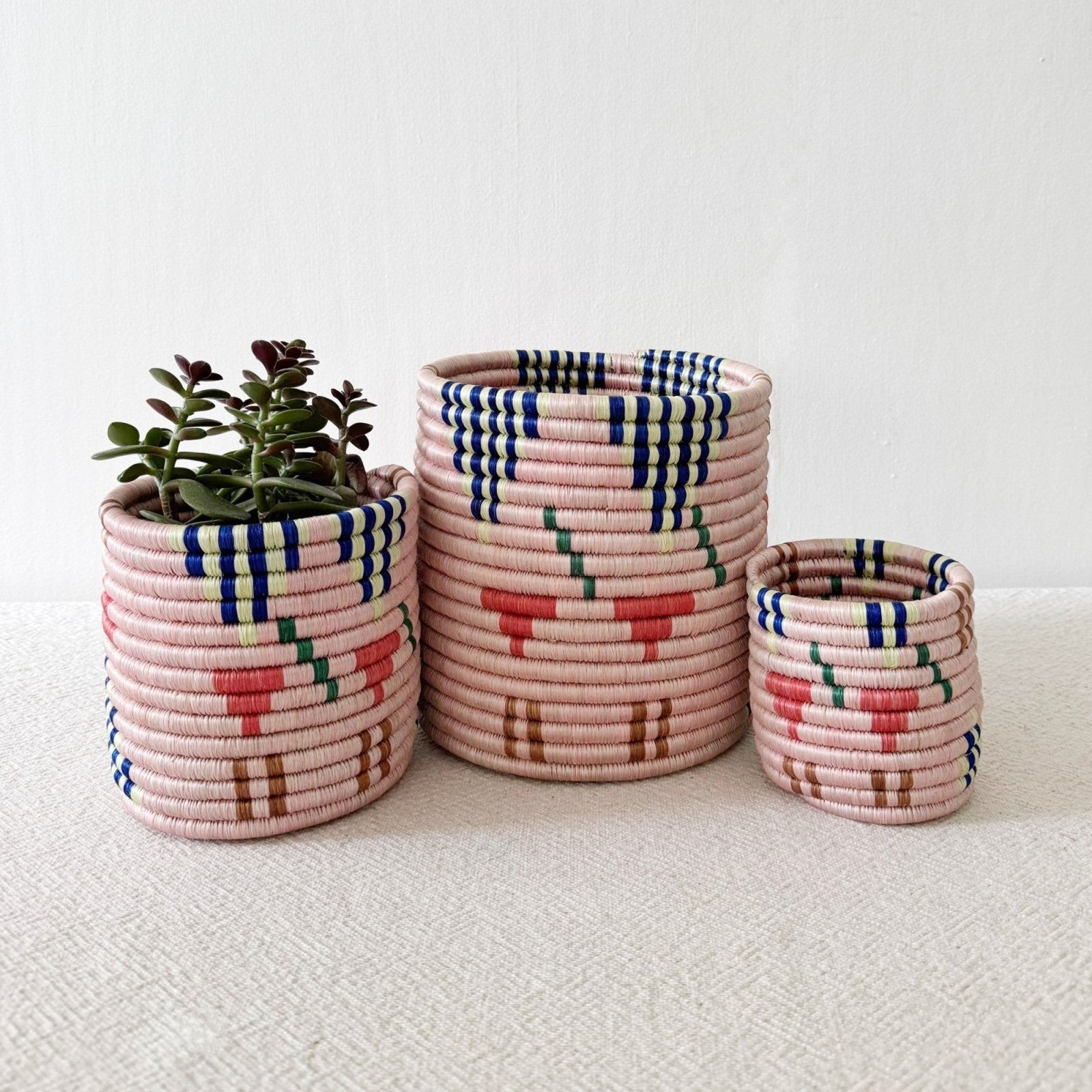 Storage Plant Basket: Ipekwa - Amsha
