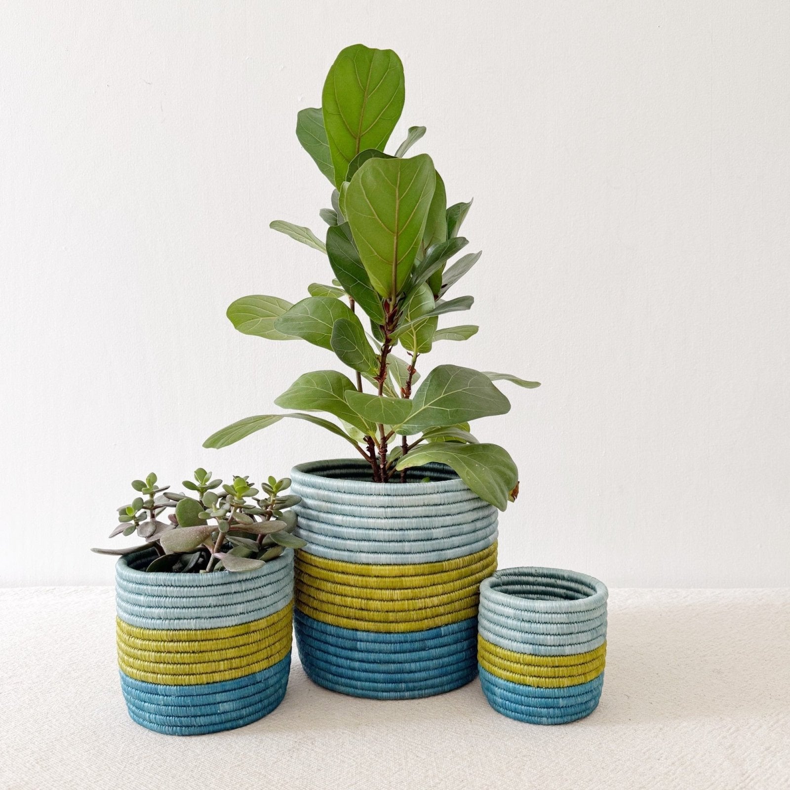 Storage Plant Basket: Kakobe - Amsha