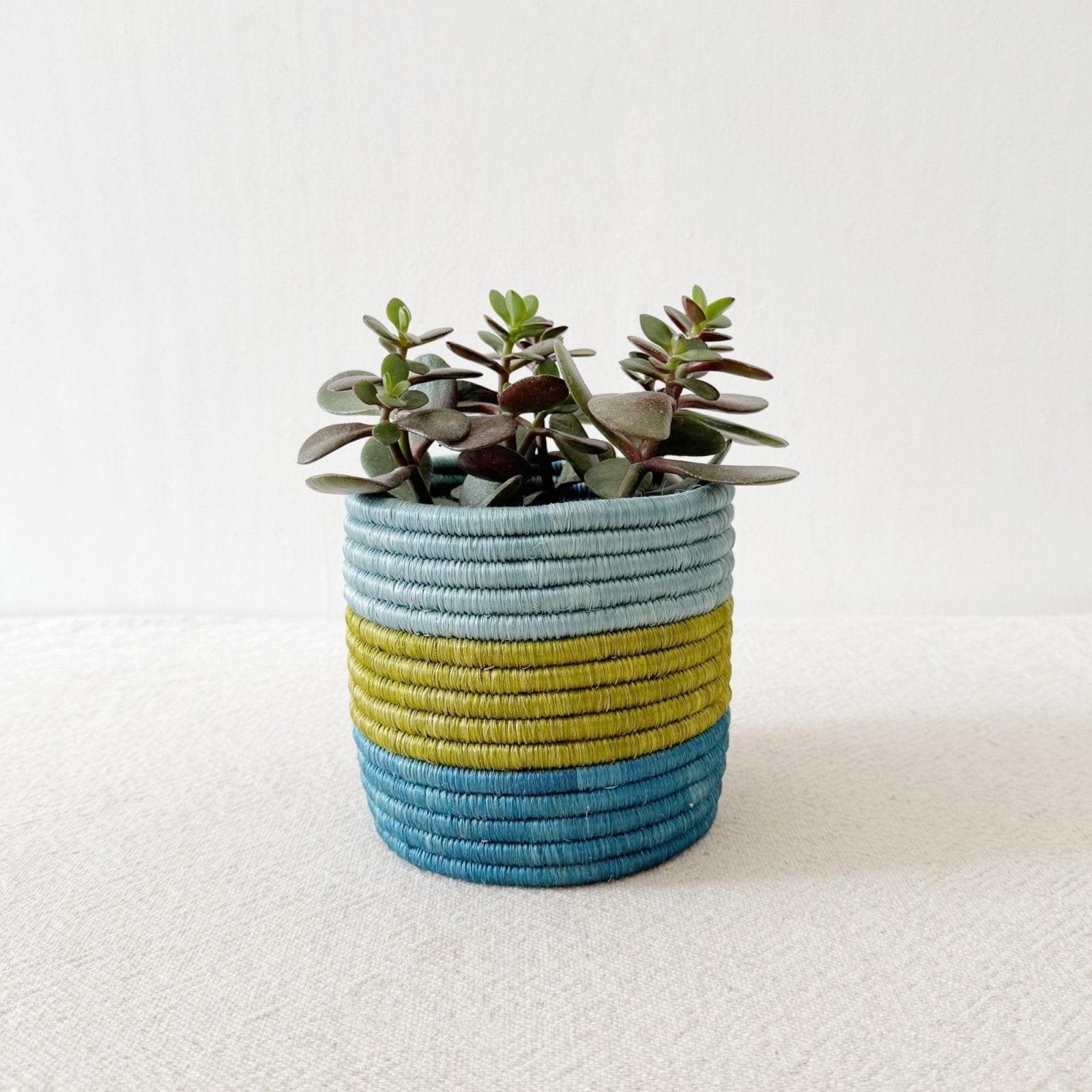 Storage Plant Basket: Kakobe - Amsha