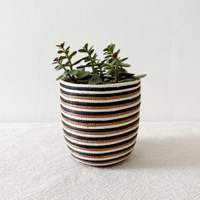 Storage Plant Basket: Kananda - Amsha