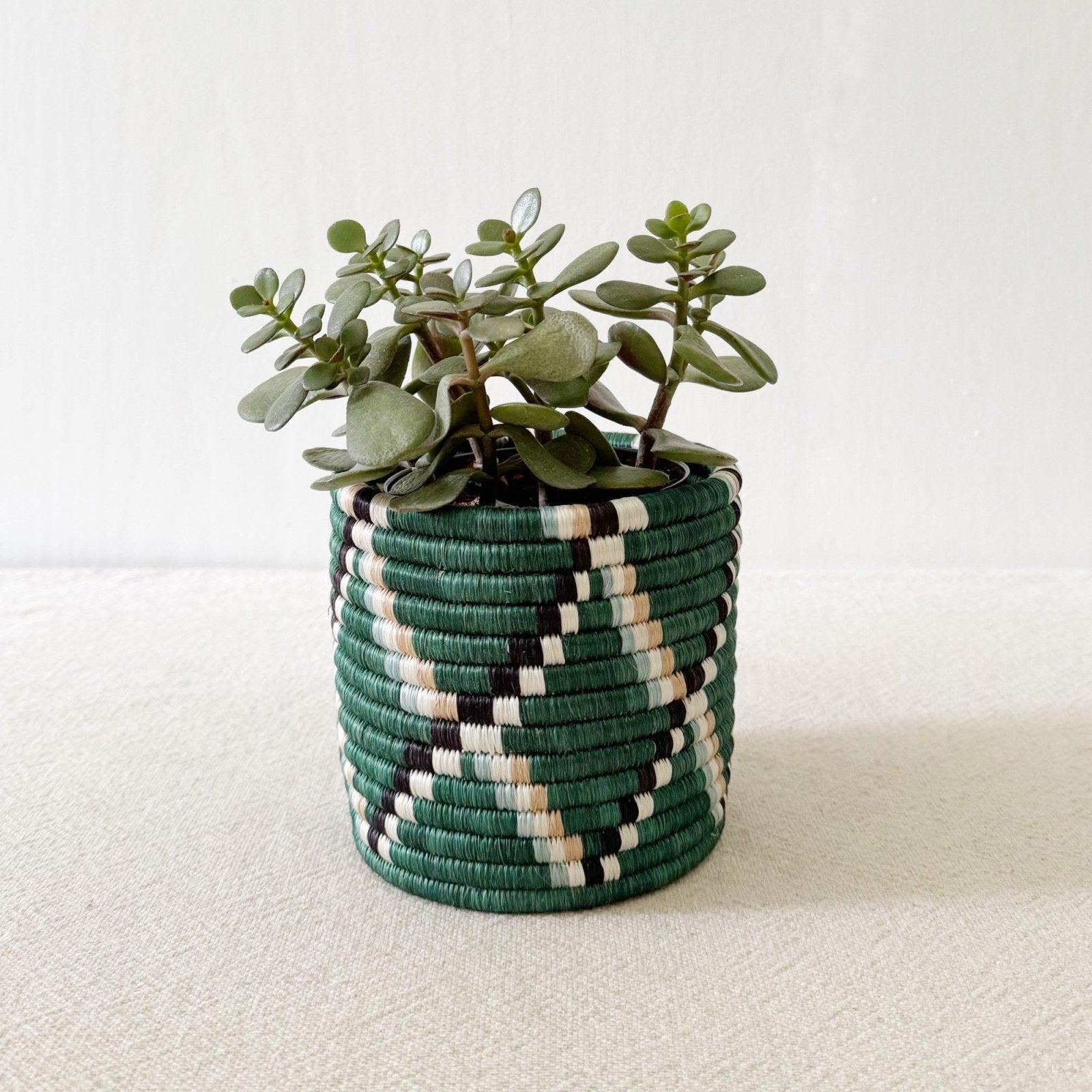 Storage Plant Basket: Kasuga - Amsha