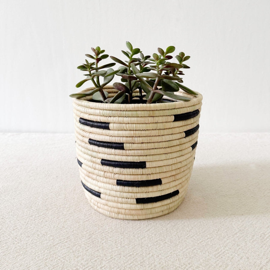 Storage Plant Basket: Kayanza - Amsha