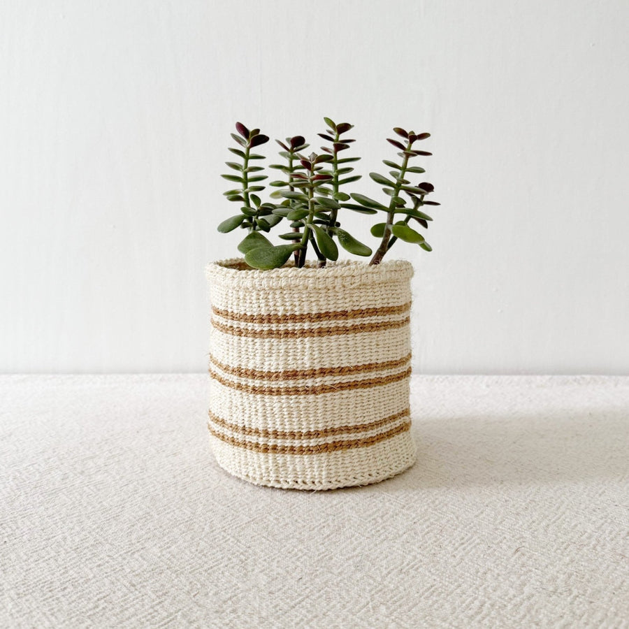 Storage Plant Basket: Khaki Stripe - Amsha