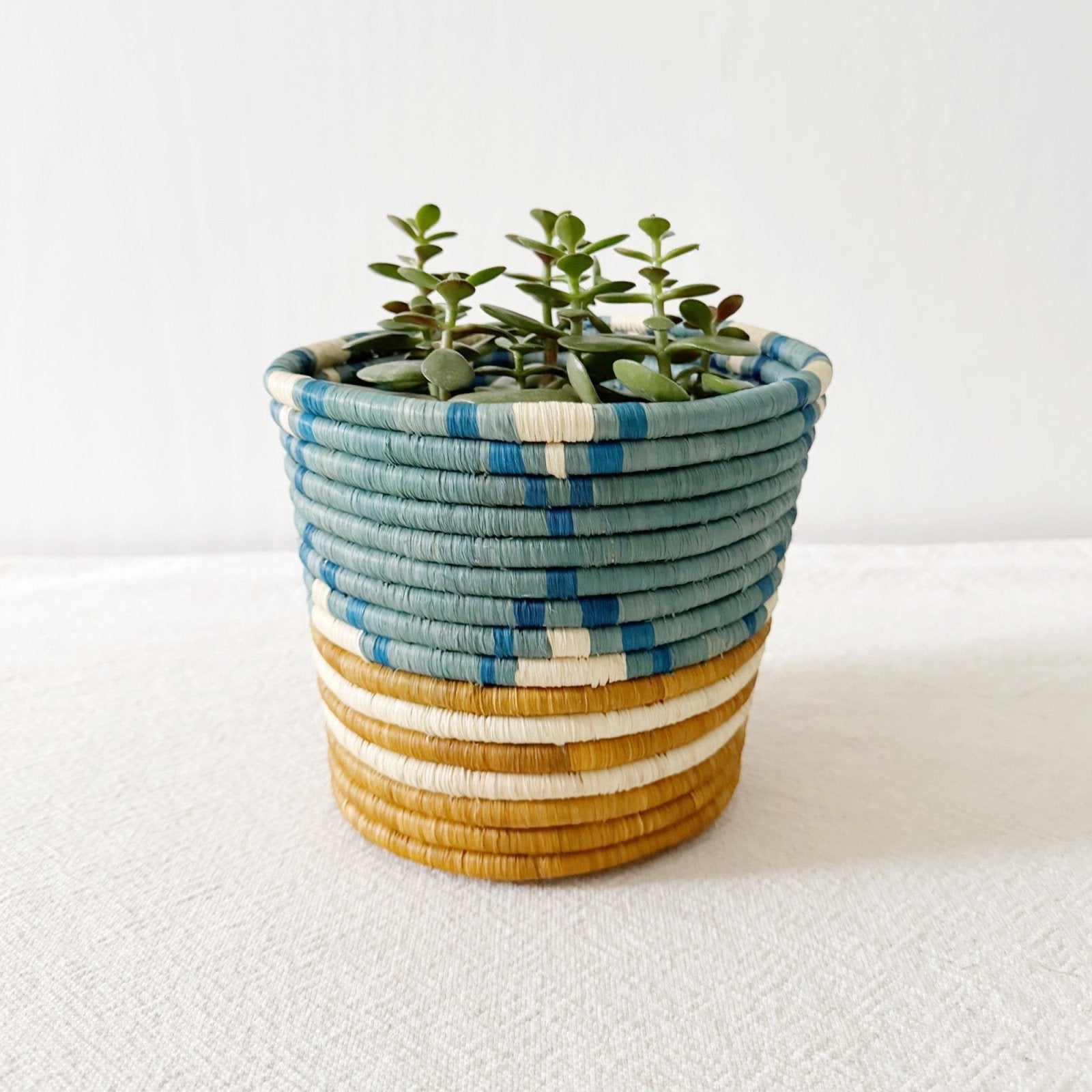 Storage Plant Basket: Kibahi - Amsha