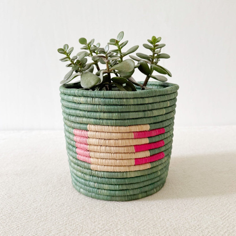 Storage Plant Basket: Kiganda - Amsha