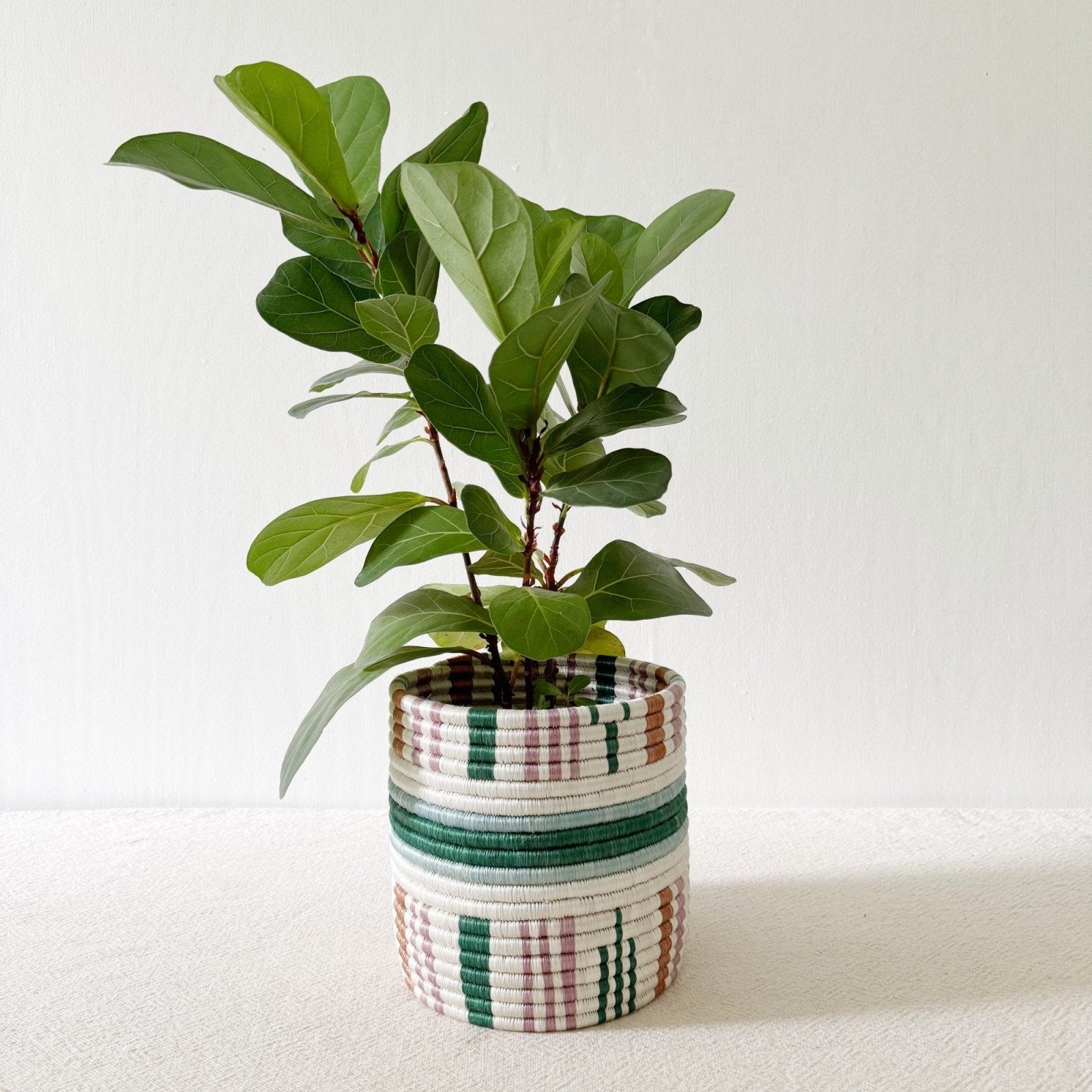 Storage Plant Basket: Kinonko - Amsha