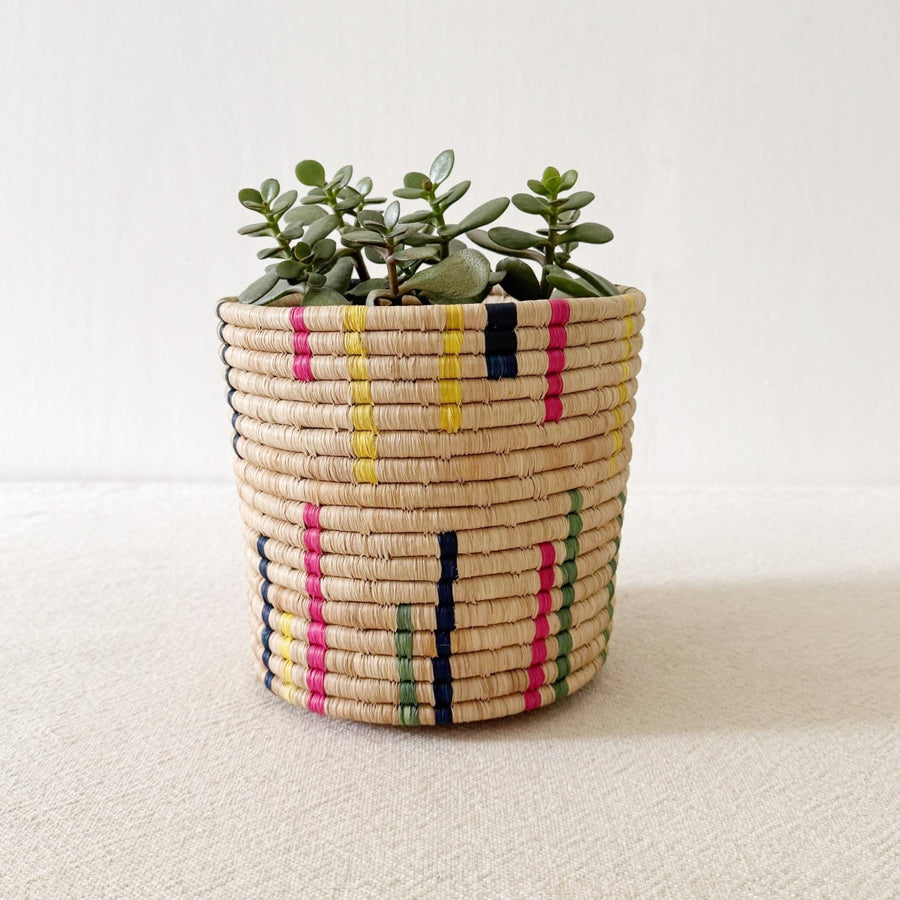 Storage Plant Basket: Kirundo - Amsha