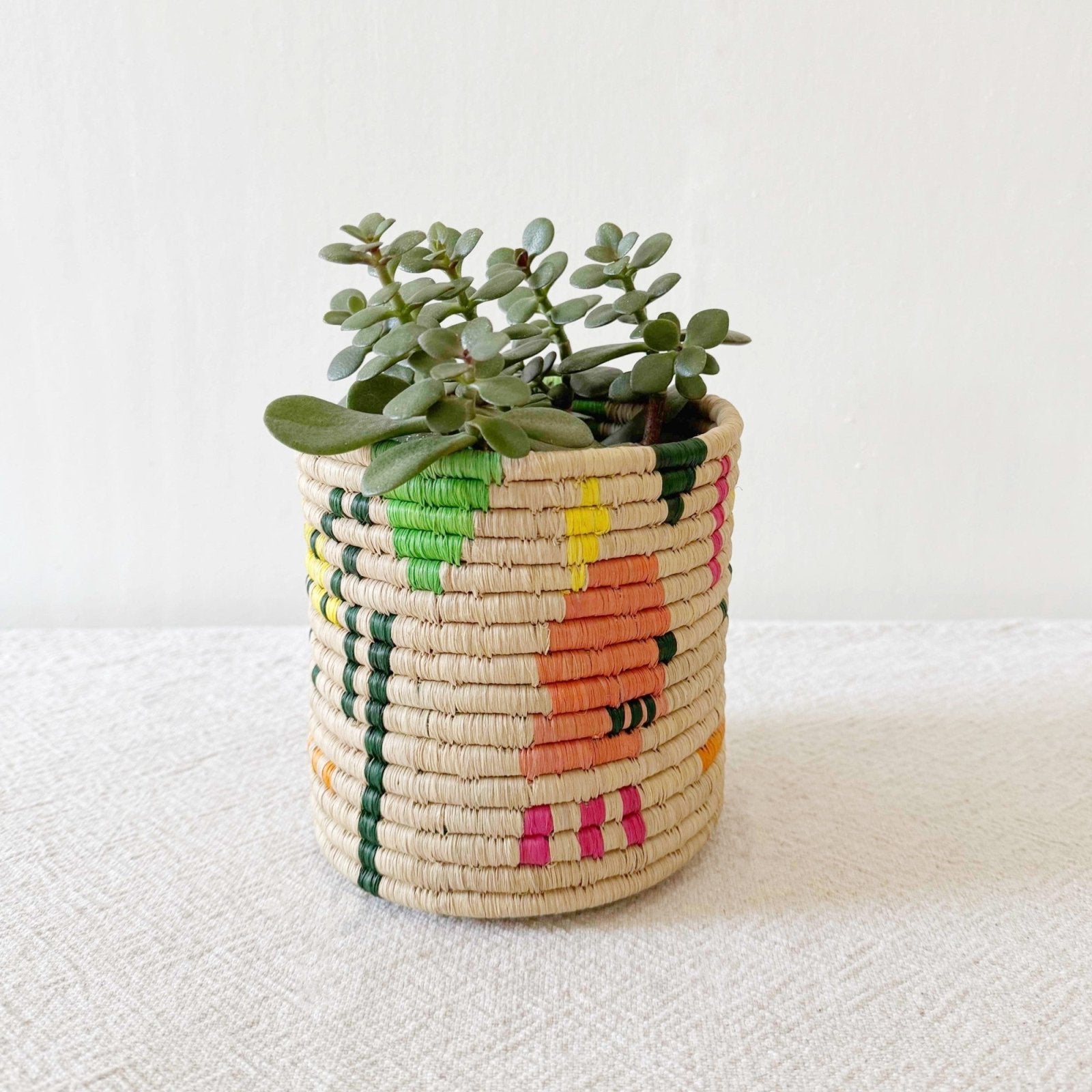 Storage Plant Basket: Kisi - Amsha