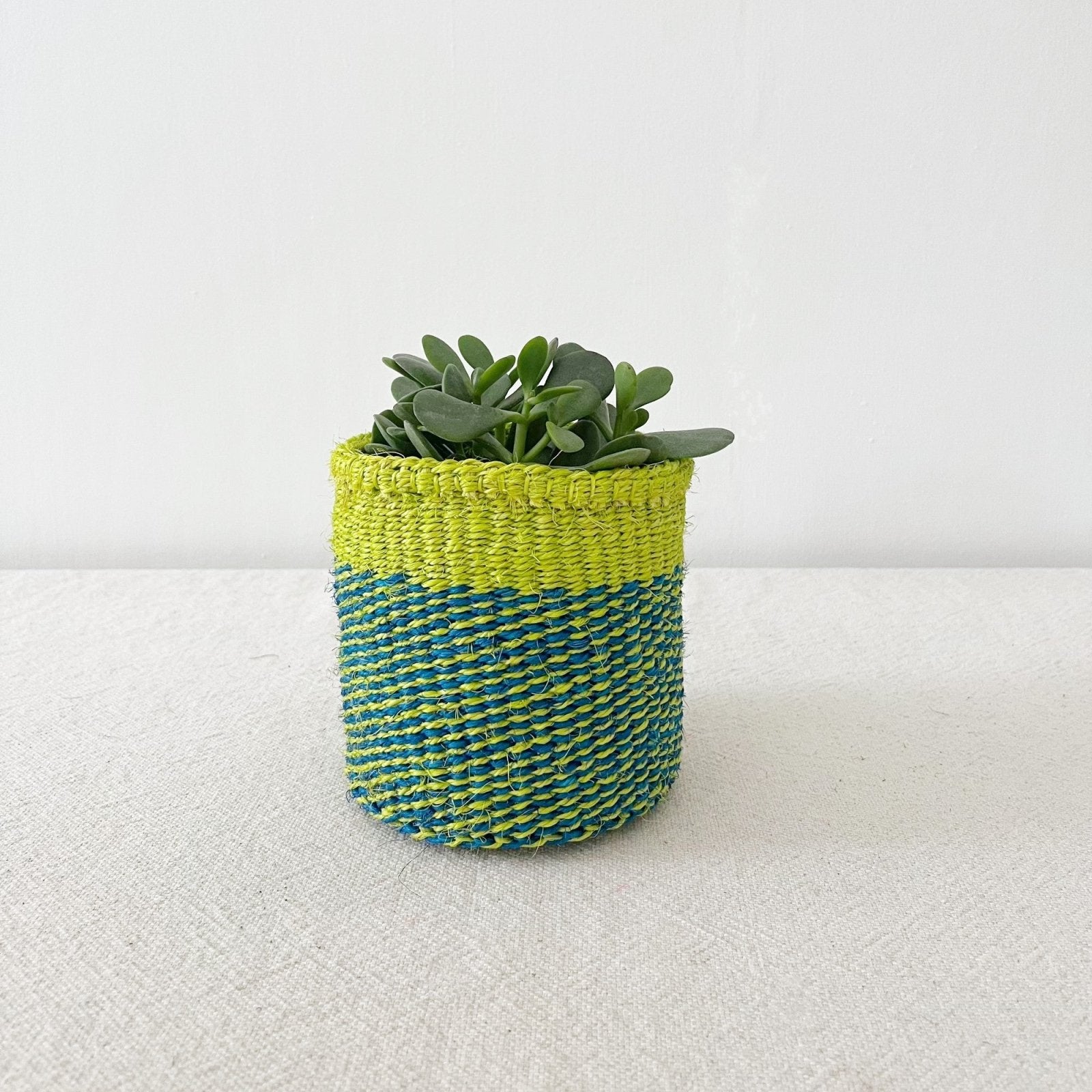 Storage Plant Basket: Lime Stripes - Amsha