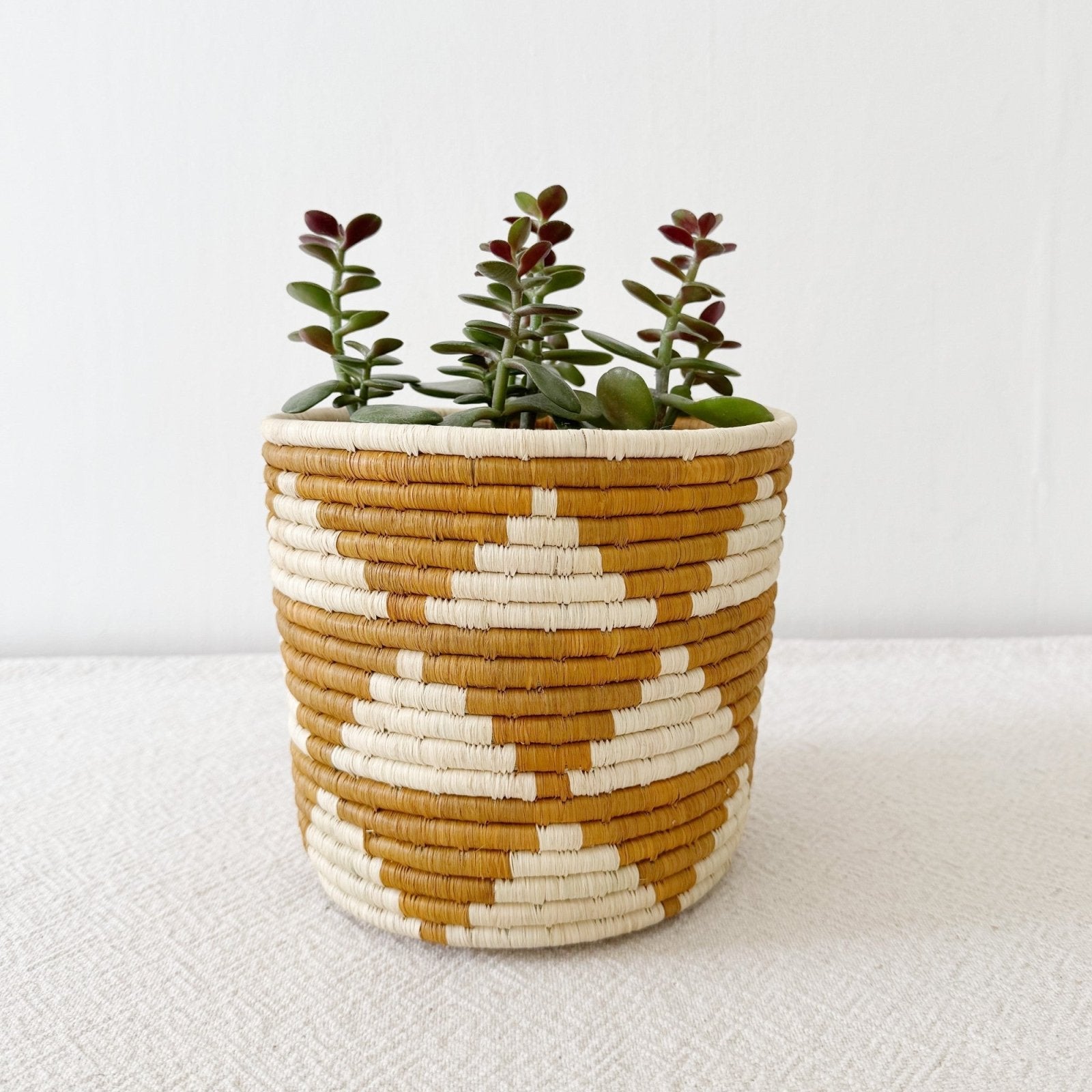 Storage Plant Basket: Malamba - Amsha