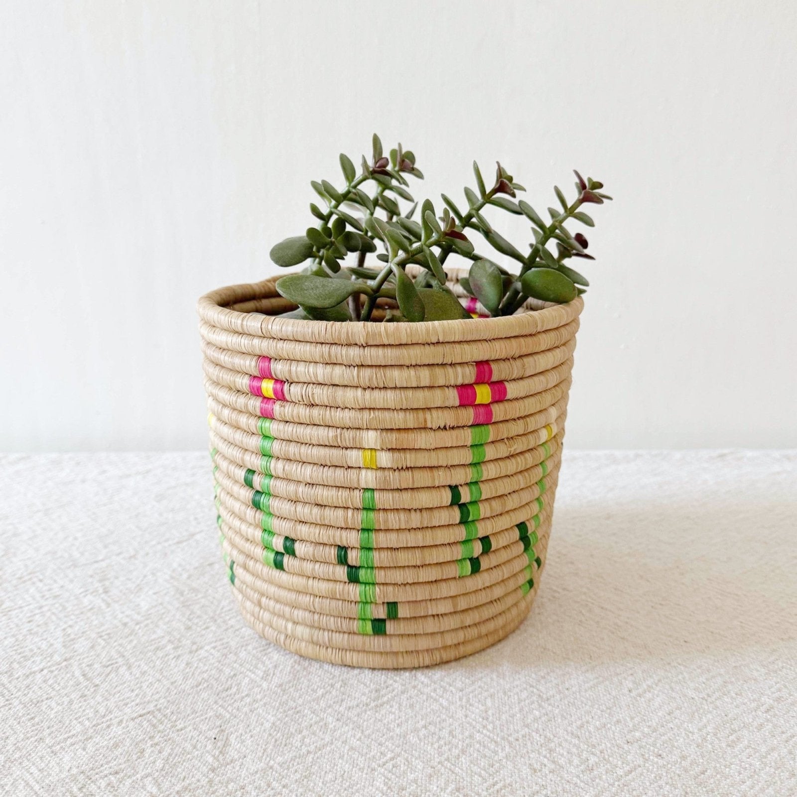 Storage Plant Basket: Mera - Amsha