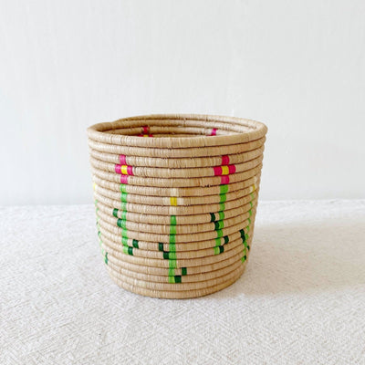 Storage Plant Basket: Mera - Amsha